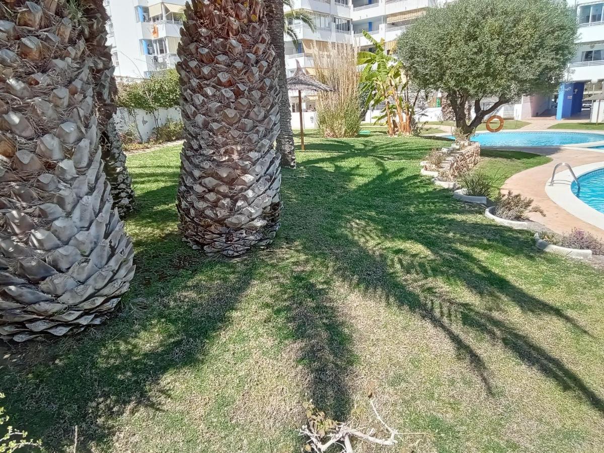 Apartamento La Nina, La Playa Paraiso A 100 Mts. Villajoyosa  Exterior foto